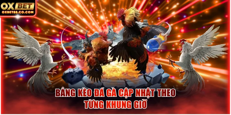 Bảng kèo đá gà cập nhật theo từng khung giờ