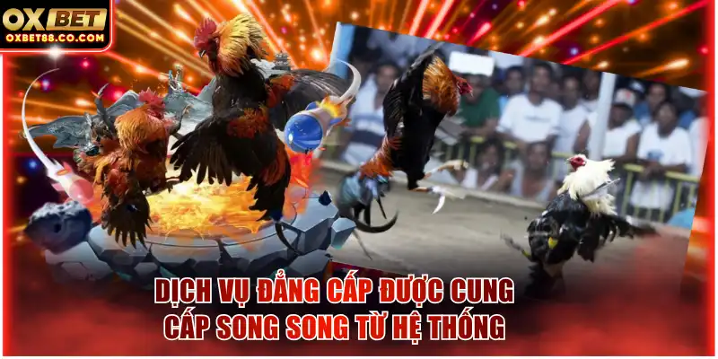 Dịch vụ đẳng cấp được cung cấp song song từ hệ thống