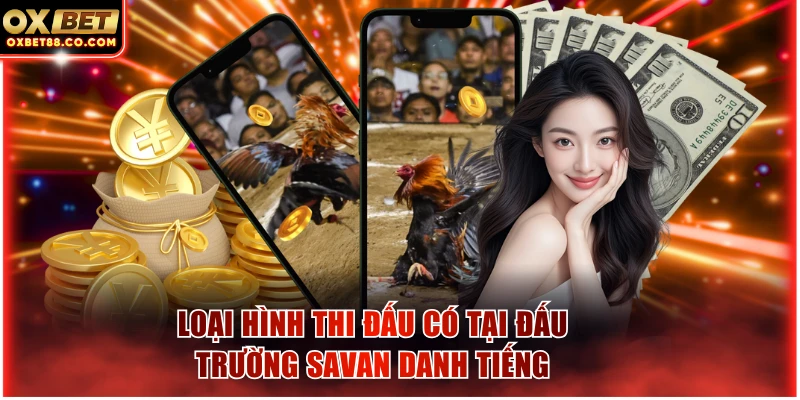 Loại hình thi đấu có tại đấu trường Savan danh tiếng