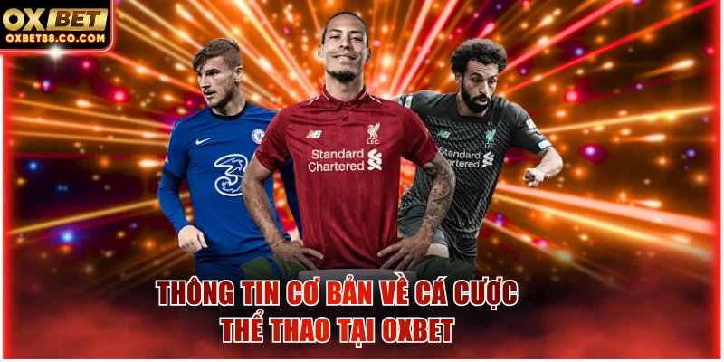 Thông tin cơ bản về cá cược thể thao tại OXBET