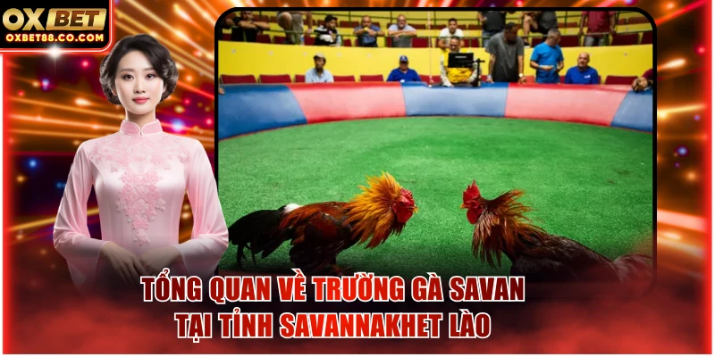 Tổng quan về trường gà Savan tại tỉnh Savannakhet Lào