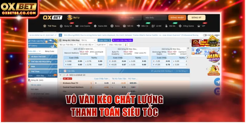 Vô vàn kèo chất lượng, thanh toán siêu tốc